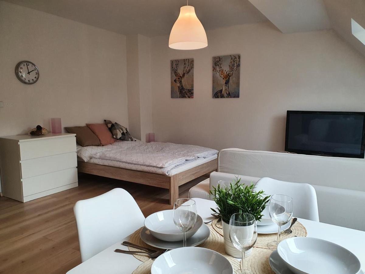 Apartmány Břachovna Mikulov v Krusnych Horach Exterior foto