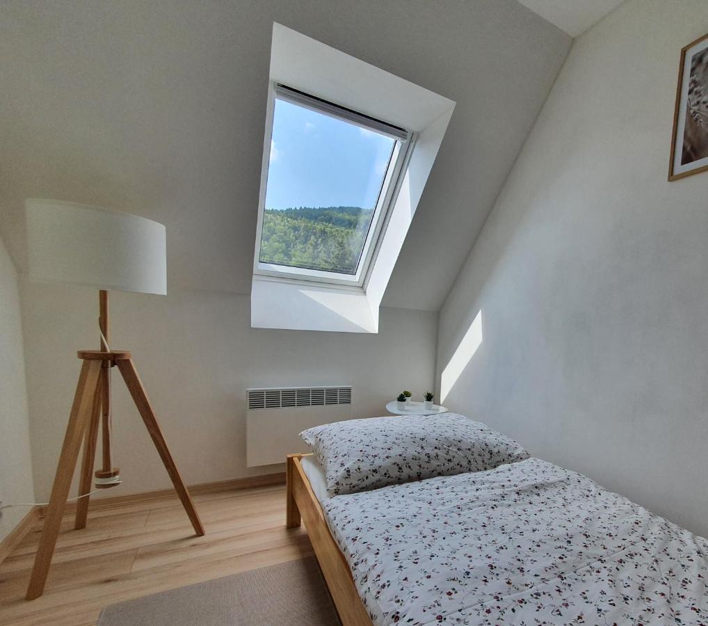 Apartmány Břachovna Mikulov v Krusnych Horach Exterior foto