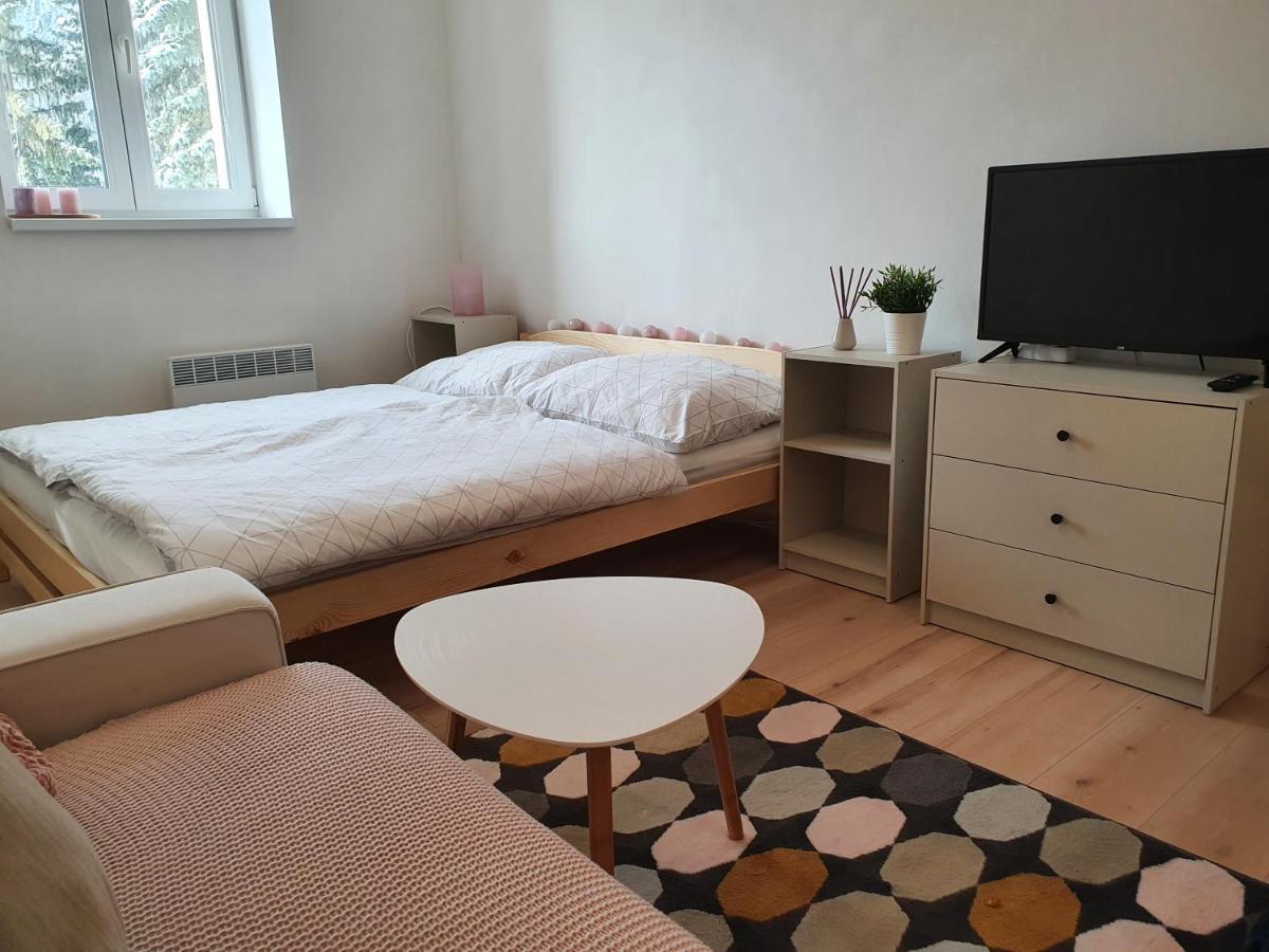 Apartmány Břachovna Mikulov v Krusnych Horach Exterior foto